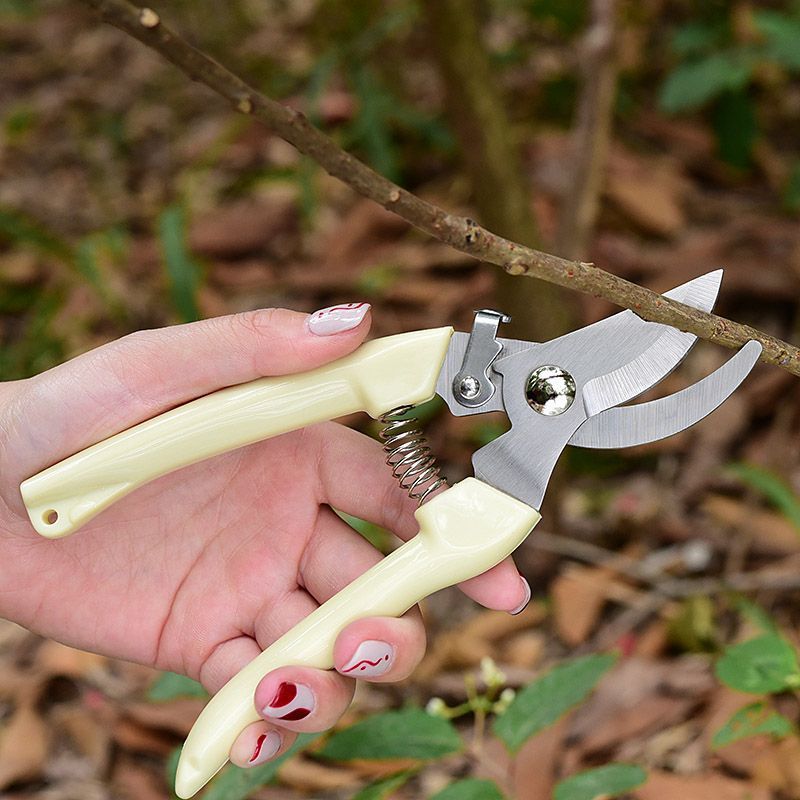 Pruning Shears - Labor‑Saving Garden Pruning Shears, Professional Hand