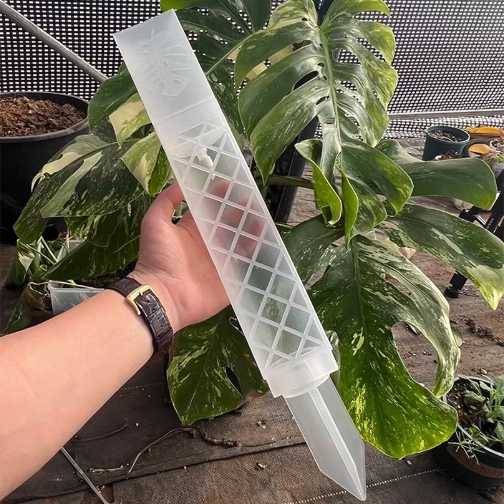 Automatic Plant Waterer - D-Shaped Self-Watering Plant Drip Plastic Adjustable