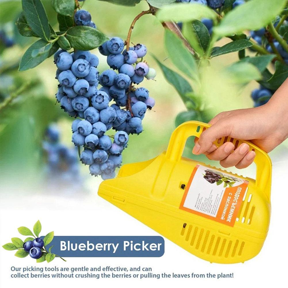 Easy-Grip Blueberry Picker Too - Gardening Tools Must Haves review and price