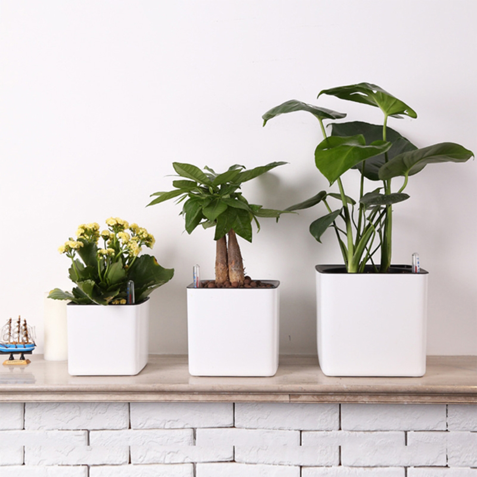 3 size Lazy flowerpot Green Pl - Automatic Plant Waterer review and price