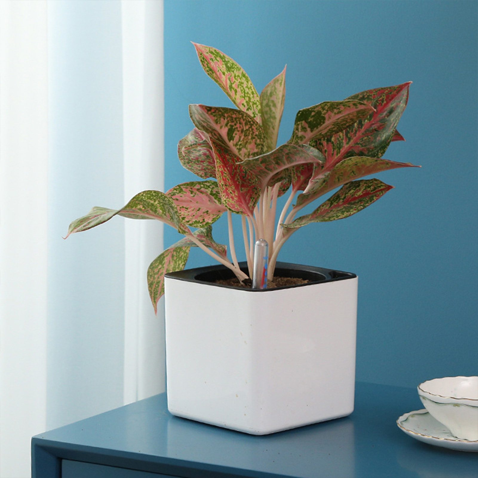 3 size Lazy flowerpot Green Pl - Automatic Plant Waterer review and price