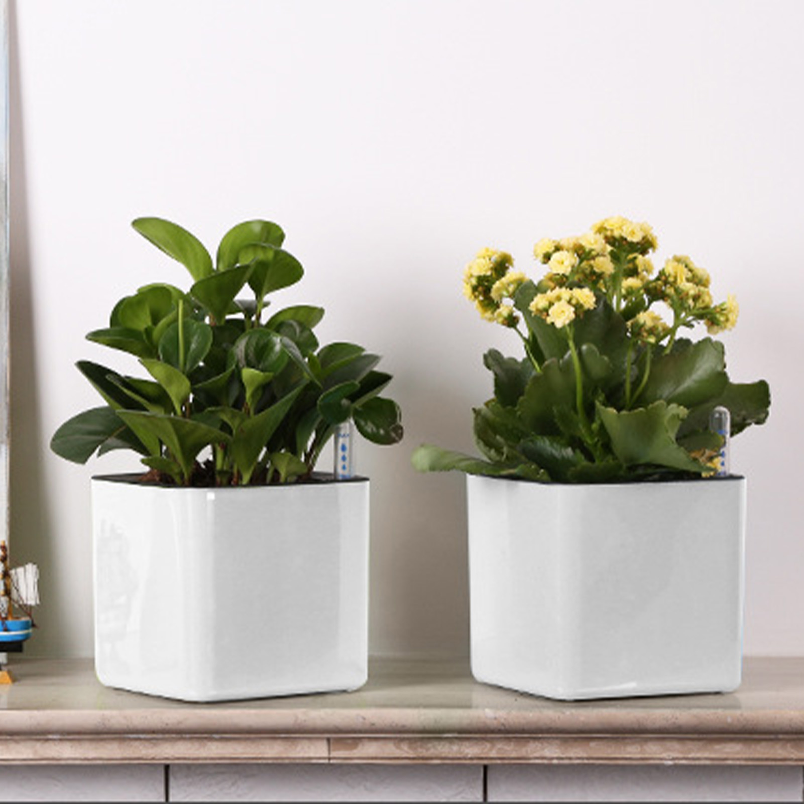 3 size Lazy flowerpot Green Pl - Automatic Plant Waterer review and price