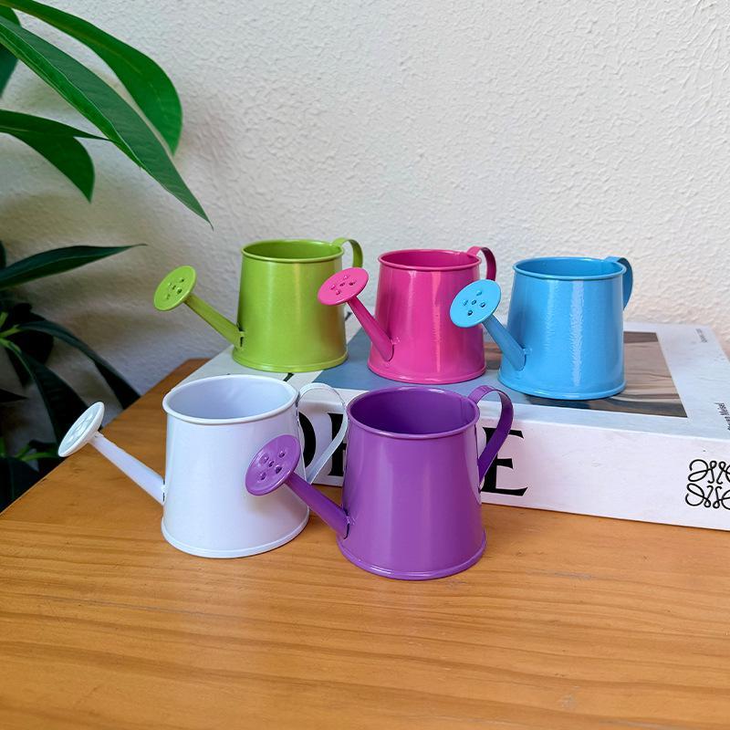 Mini Watering Can Metal Vintag - Gardening Tools Vintage review and price