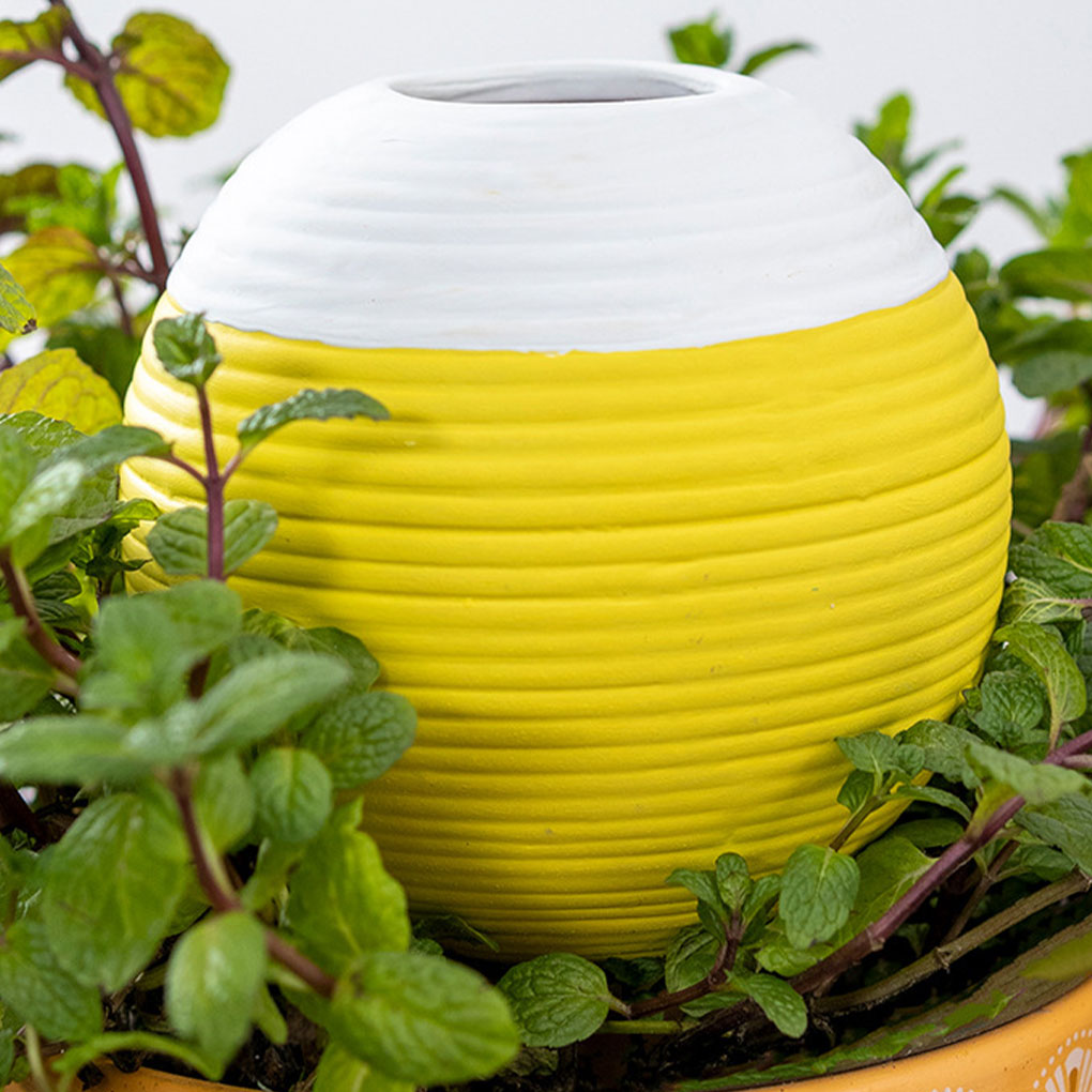 Ceramics Automatic Plant Water - Gardening Tools Must Haves review and price