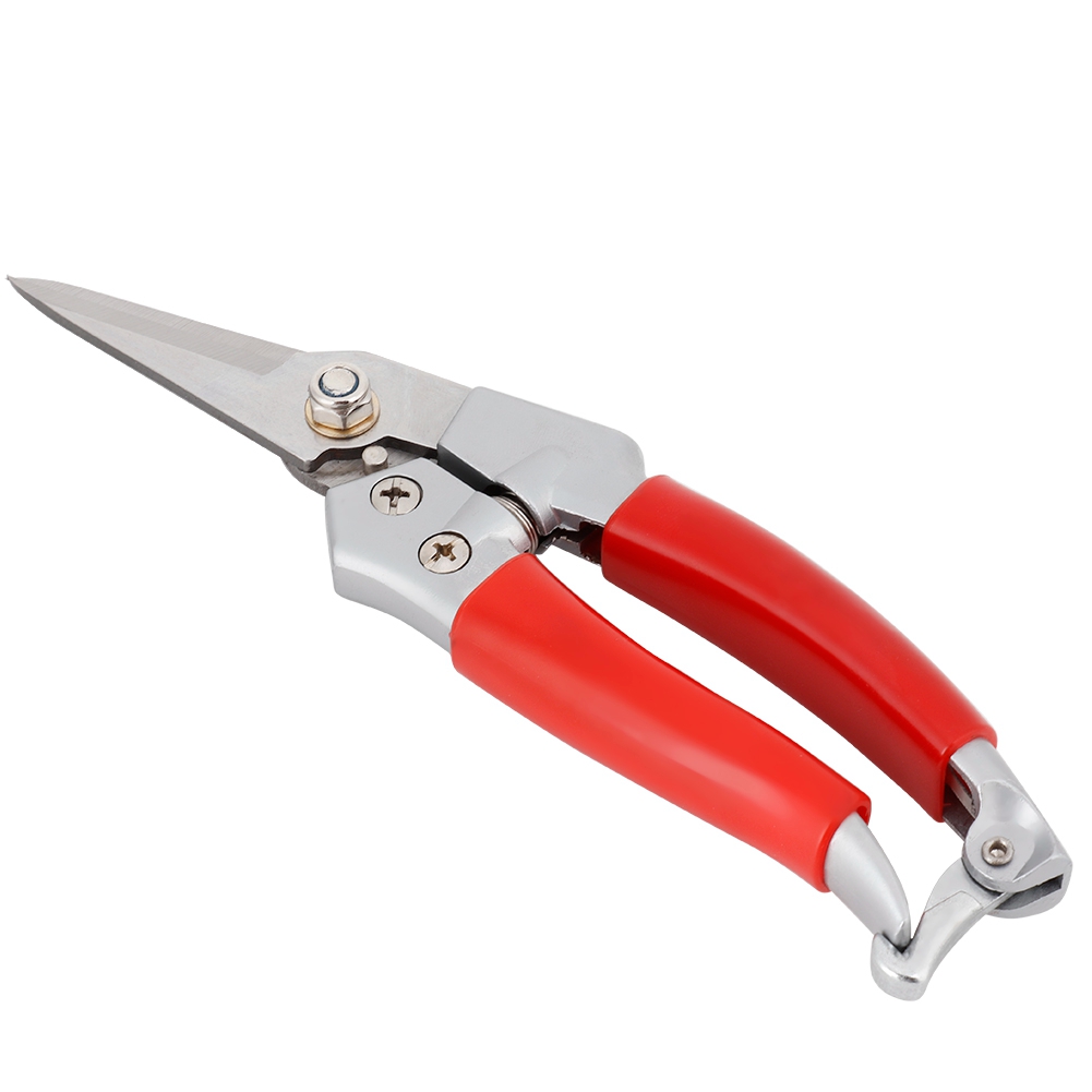 Plant Pruning Shears Straight  - Pruning Shears review and price