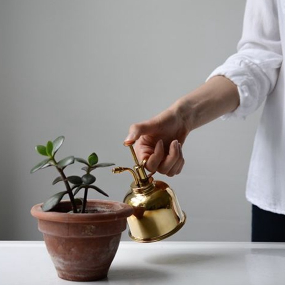 Brass Watering Can Spray Bottl - Gardening Tools Vintage review and price