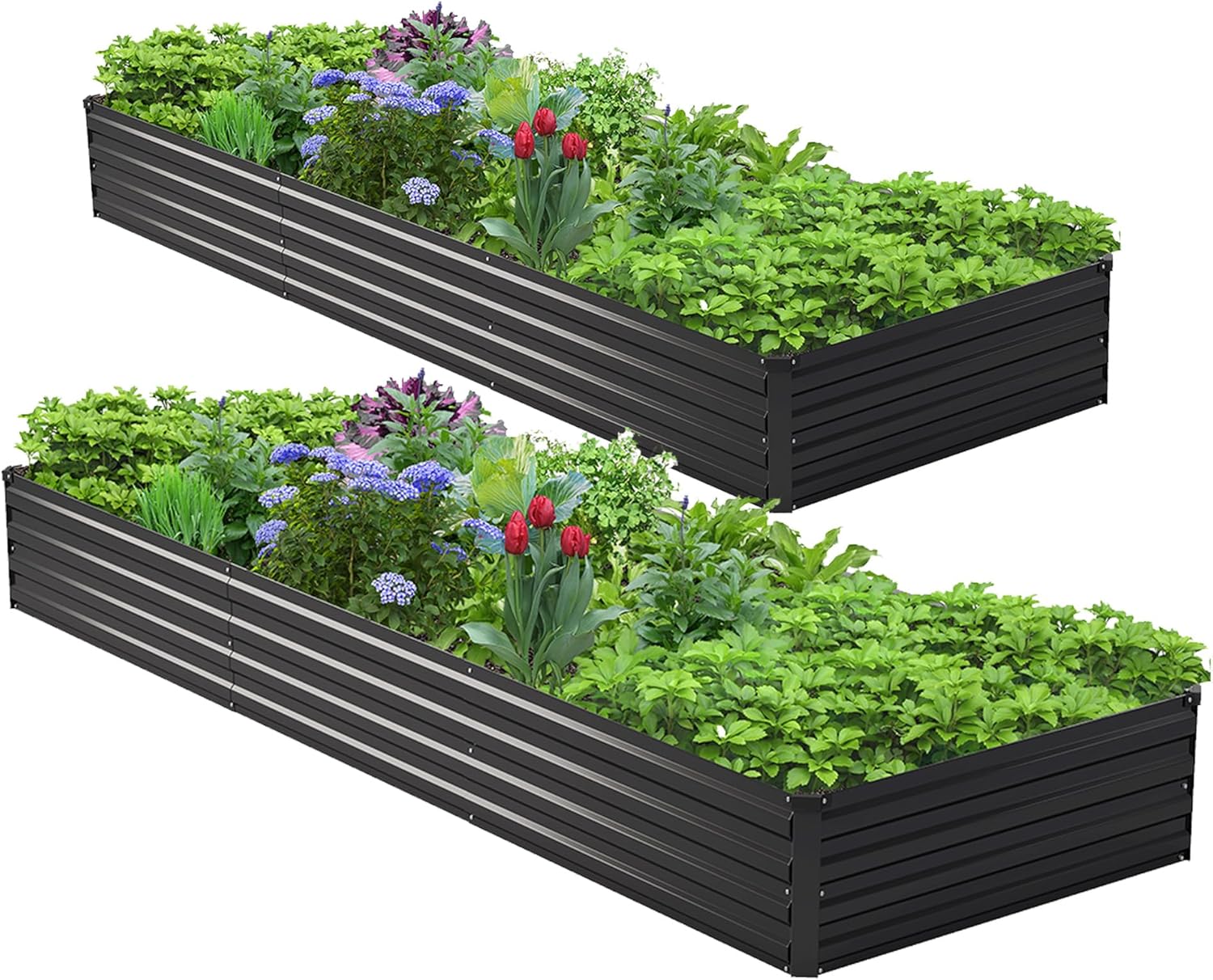 2PCS 10x3x1ft Galvanized Raise - Raised Bed Planter Box review and price