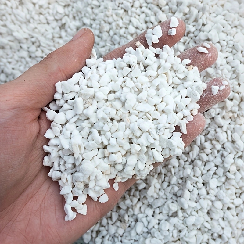 1 Pack of 3-6mm Horticultural  - Horticulture Soil Perlite review and price