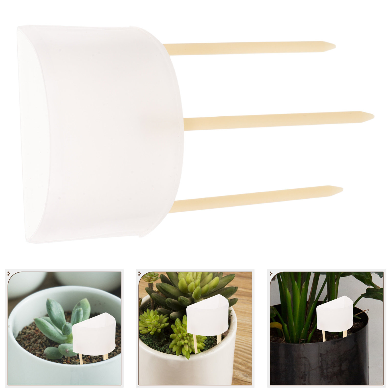 Automatic Moss Pole Watering S - Automatic Plant Waterer review and price