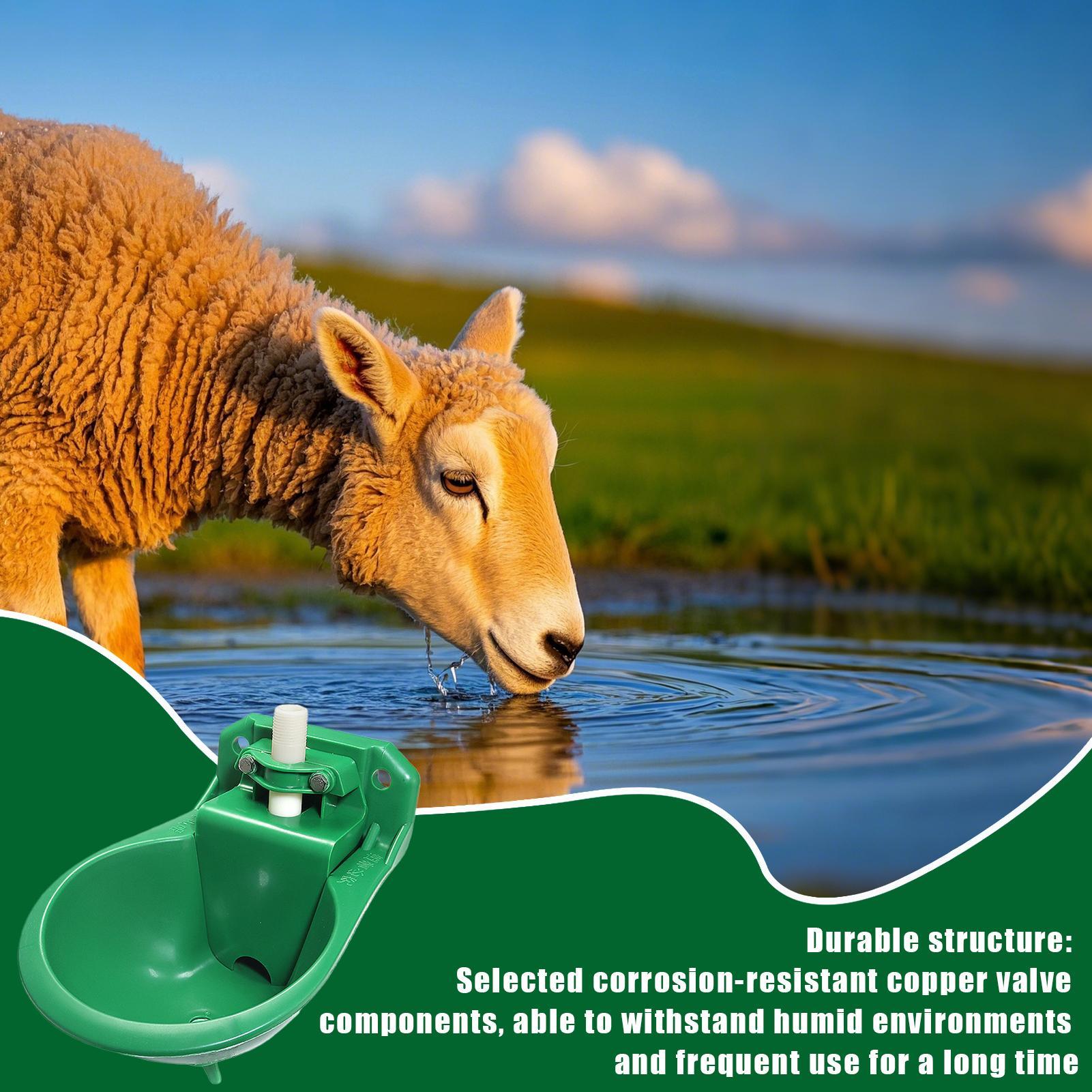 Horse Water Drinker Bowl With  - Gardening Tools Women review and price