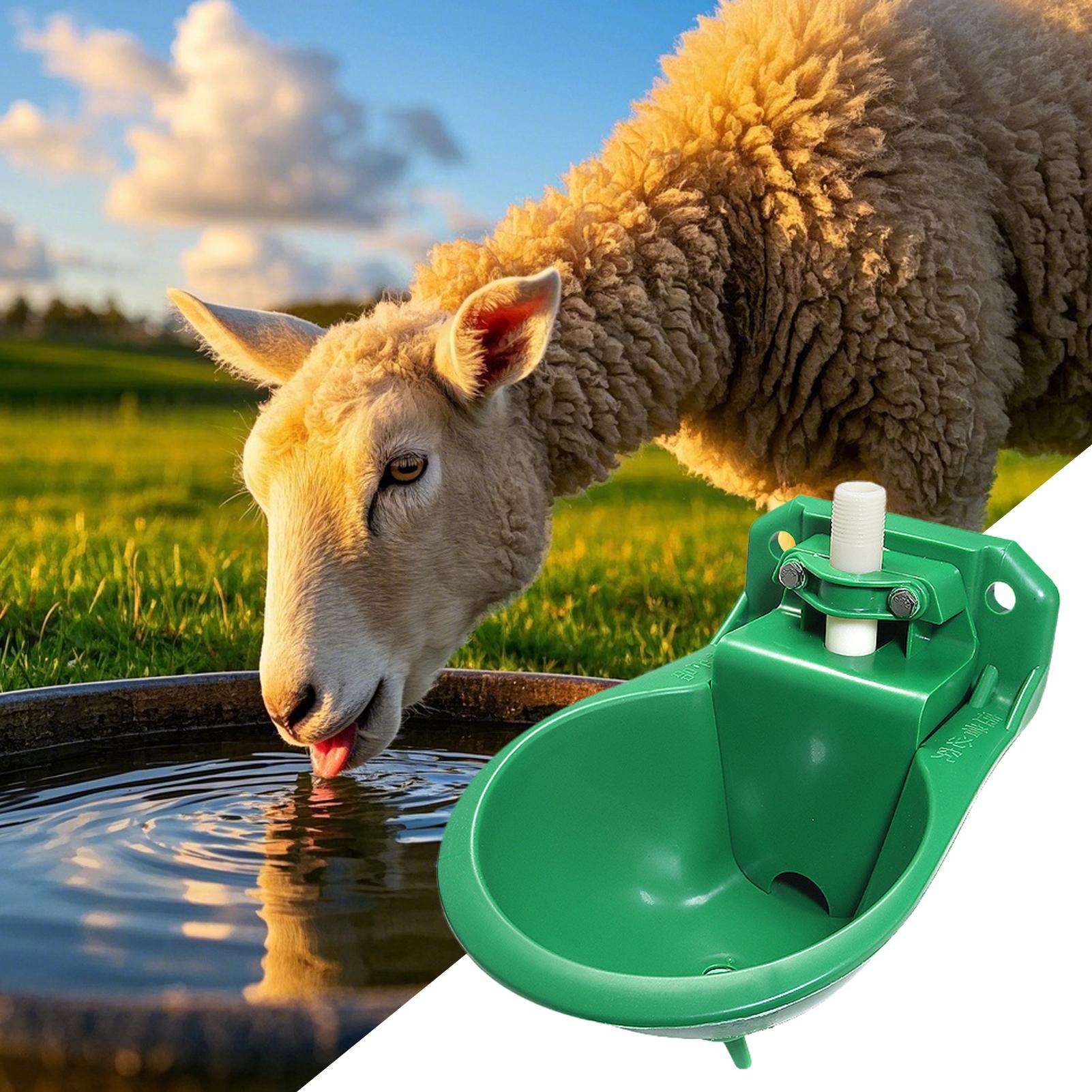 Horse Water Drinker Bowl With  - Gardening Tools Women review and price