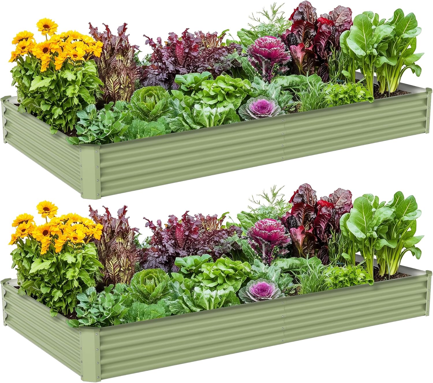 Outdoor Vegetable Gardening Me - Raised Bed Planter Box review and price