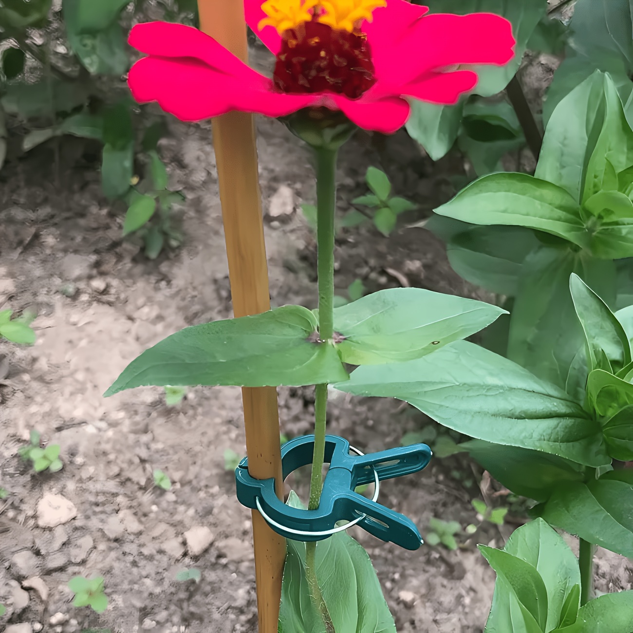 5PC Adjustable Plant Clips Lar - Gardening Tools Essential review and price