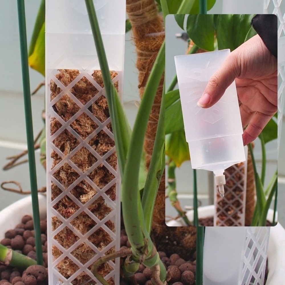 D-Shaped Self-Watering Plant D - Automatic Plant Waterer review and price