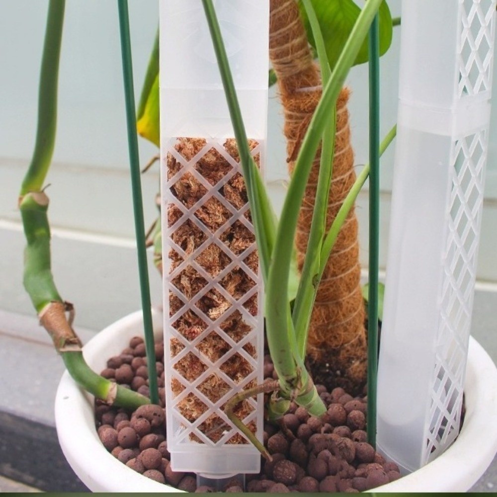 D-Shaped Self-Watering Plant D - Automatic Plant Waterer review and price