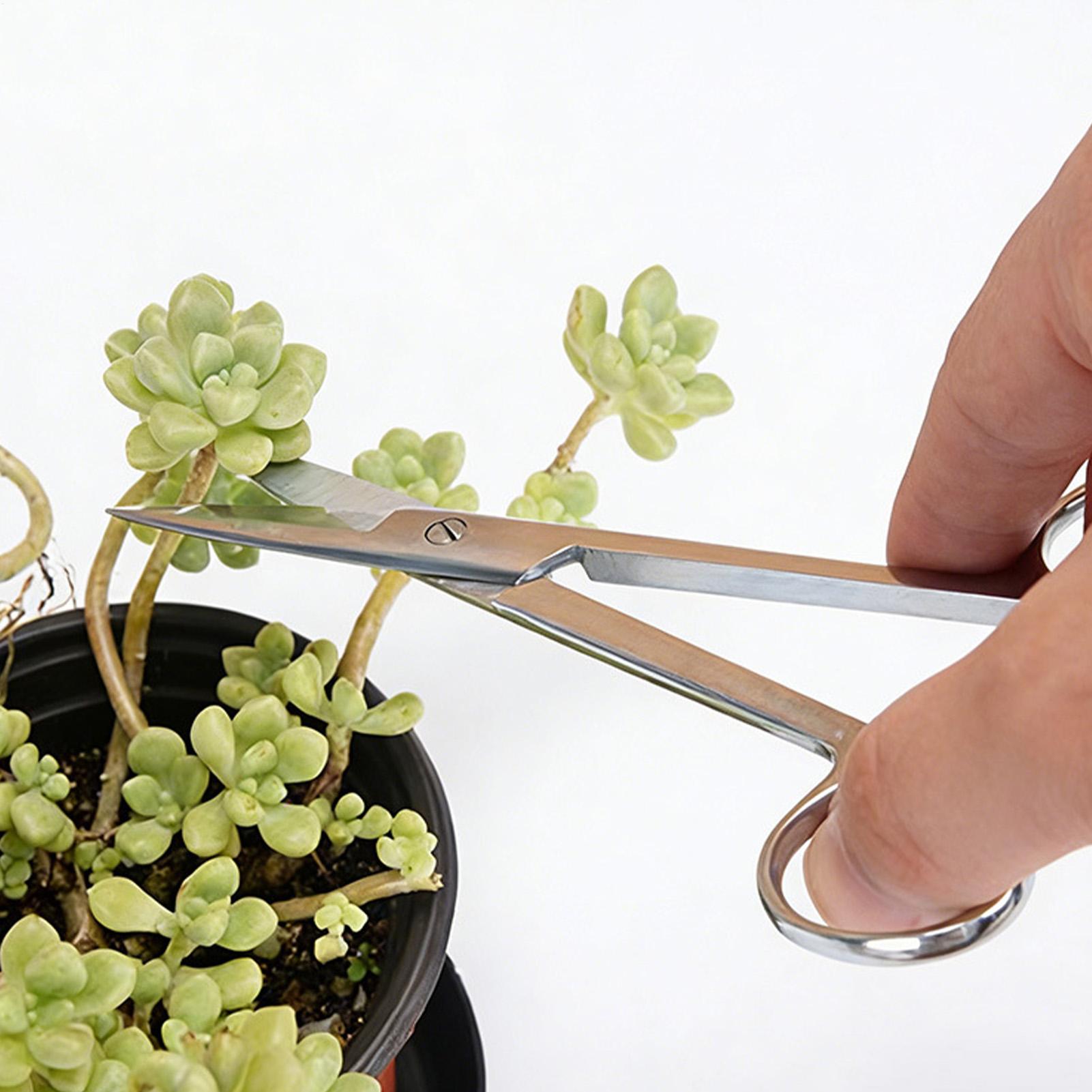 Plant Shears Stainless Steel E - Pruning Shears review and price