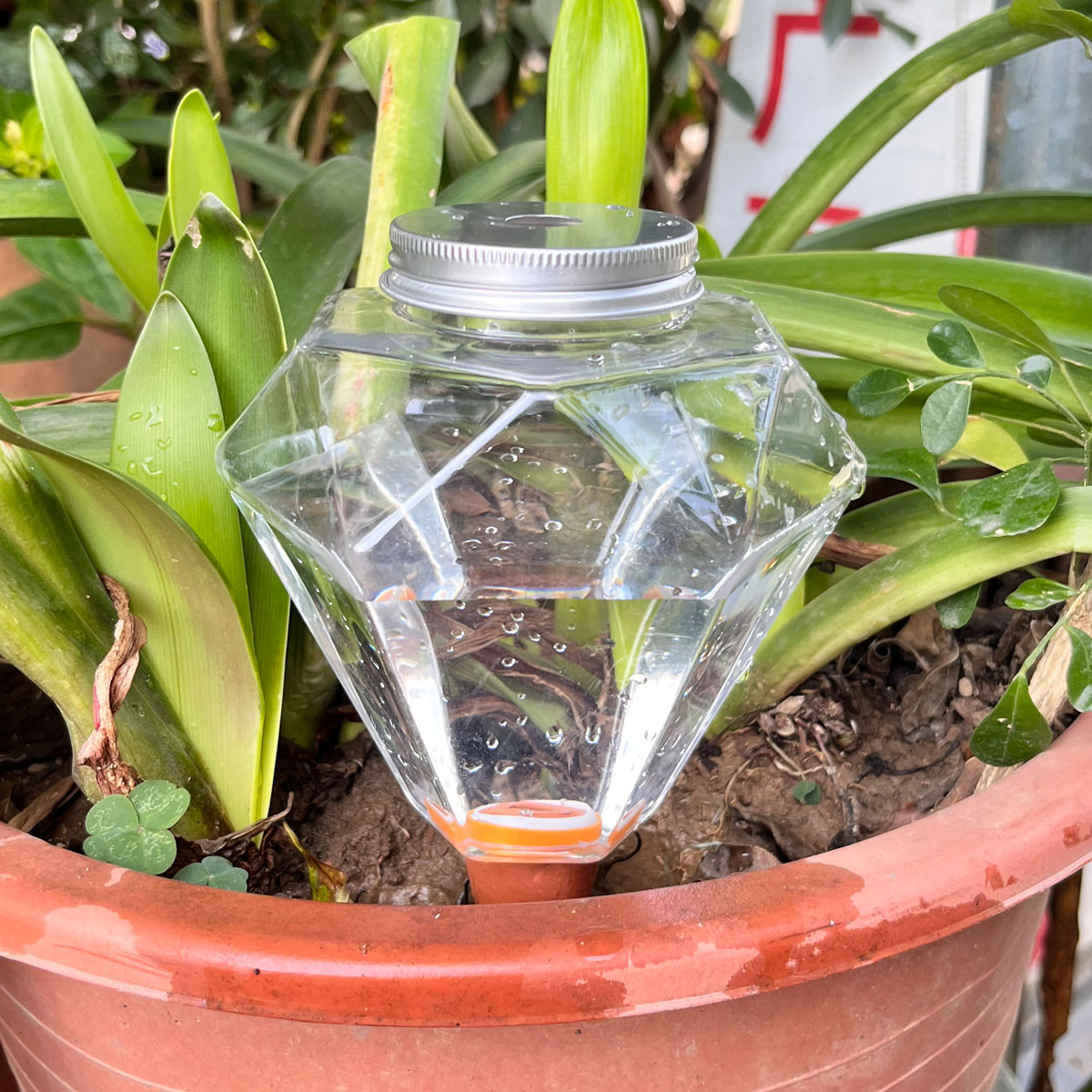 1pcs Cute Plastic Watering Mac - Automatic Plant Waterer review and price