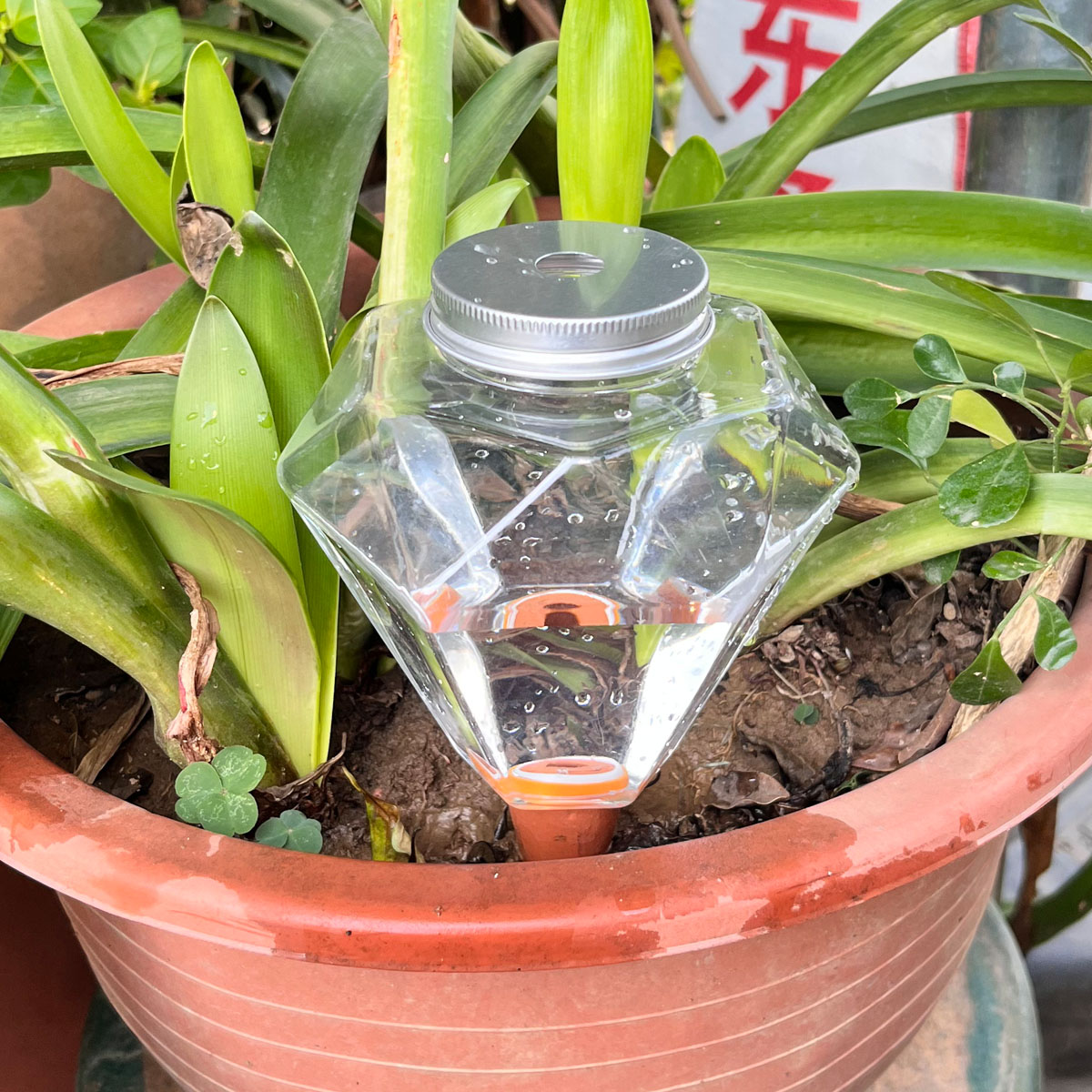 1pcs Cute Plastic Watering Mac - Automatic Plant Waterer review and price