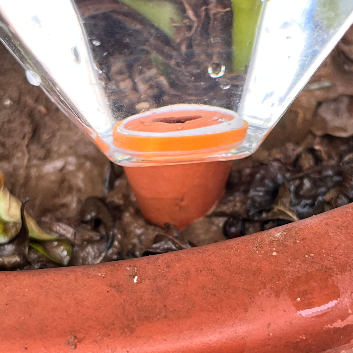 1pcs Cute Plastic Watering Mac - Automatic Plant Waterer review and price